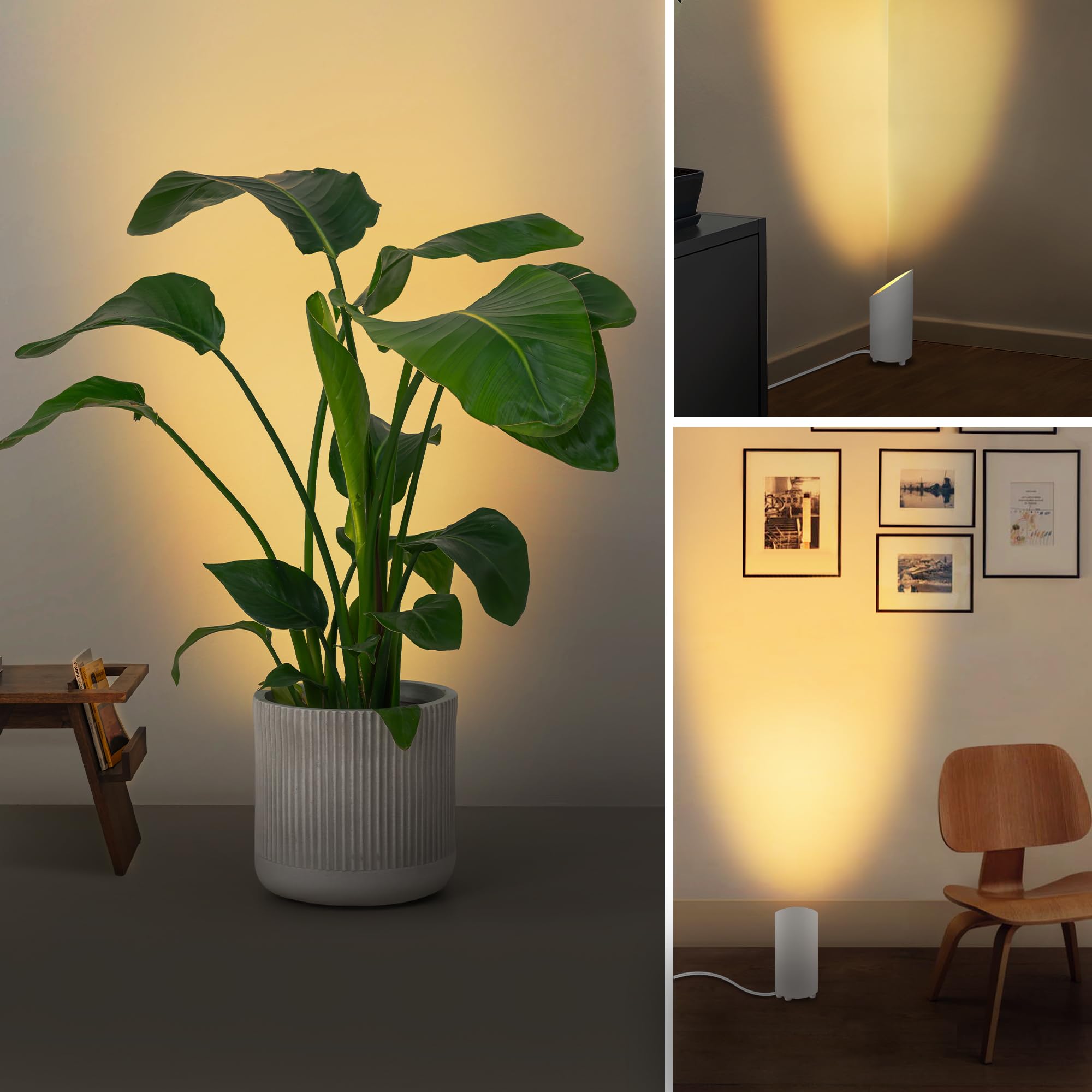 Sunvie indoor uplighting versatile for plants and decor
