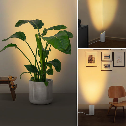 Sunvie indoor uplighting versatile for plants and decor
