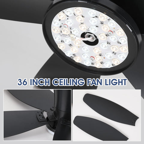 Surtime 42-inch ceiling fan ideal for covered patios and outdoor use.