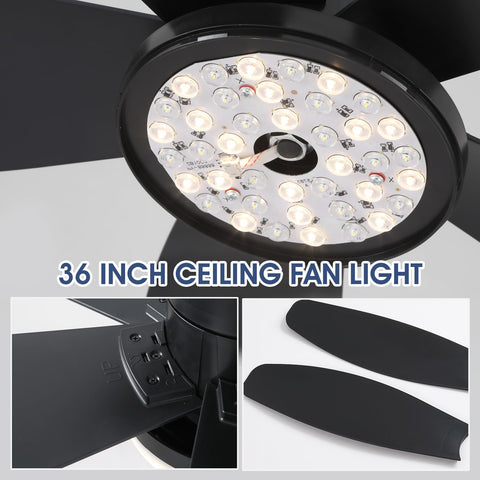 Surtime ceiling fan ideal for indoor and covered outdoor spaces