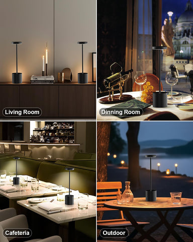 Swinerton aluminum alloy body table lamp for durability and style