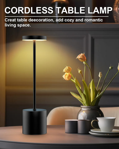 Swinerton versatile color modes for warm to cool tones in LED lamp