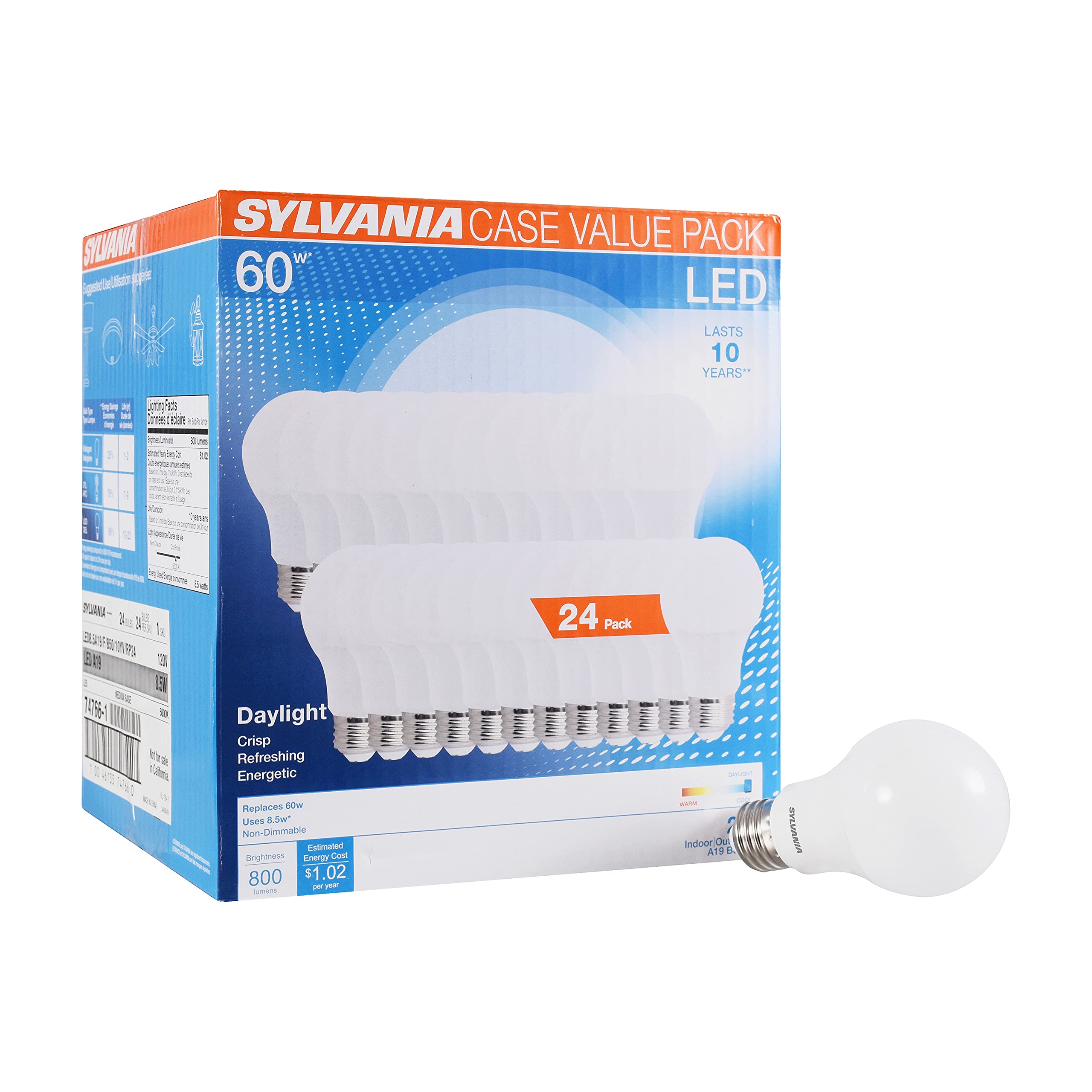 Sylvania LED A19 bulb close-up shows frosted finish for daylight task lighting.