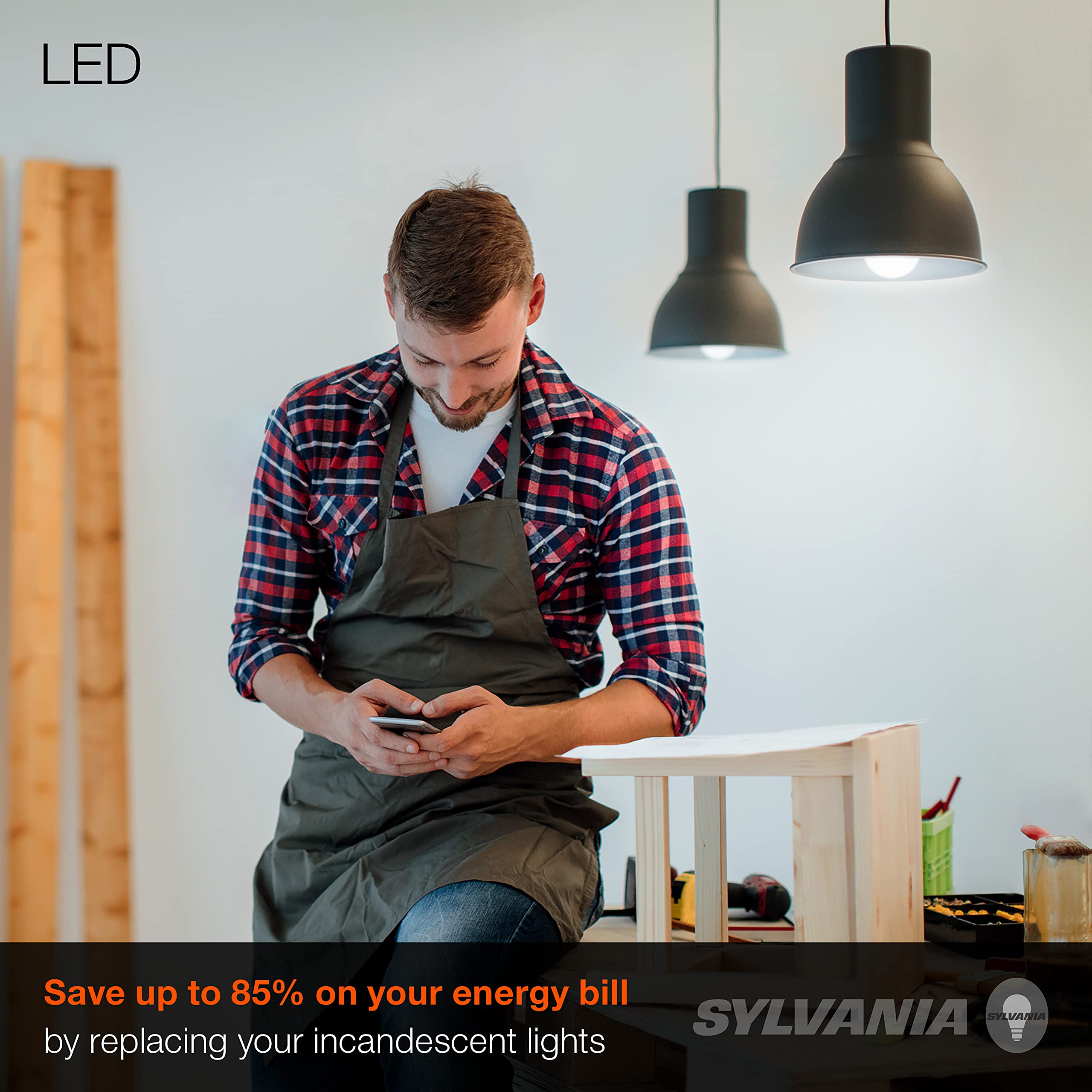Sylvania daylight A19 bulbs for kitchen task lighting
