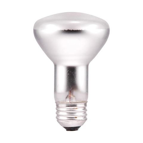 Sylvania R20 frosted glass close-up showing soft, diffuse light