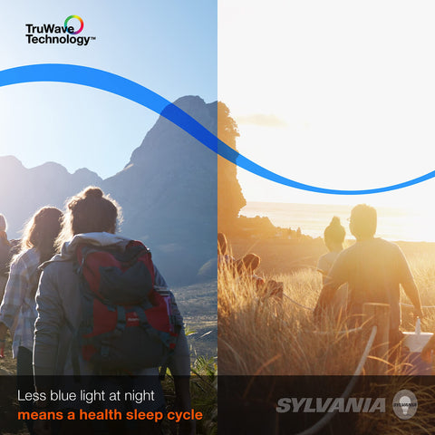 Sylvania TruWave A19 bulb close-up with frosted glass and soft glow