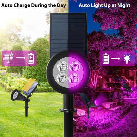 T-SUN purple solar spotlight 2-pack adjustable tilt highlights trees and pathways