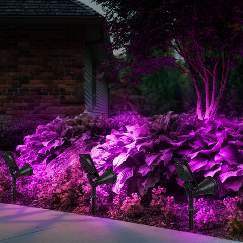 T-SUN purple solar spotlight 2-pack quick-assembly with no wiring required