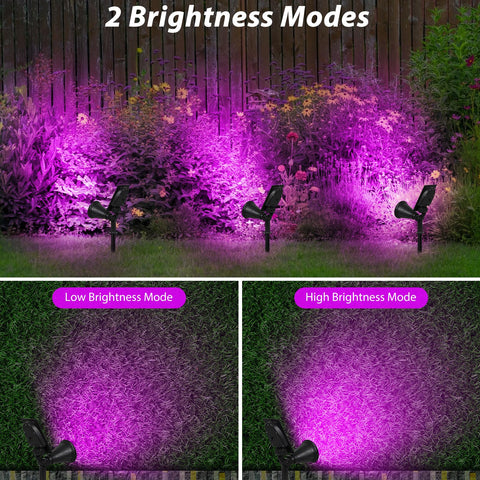 T-SUN purple solar spotlight 2-pack ground stake setup for easy outdoor installation