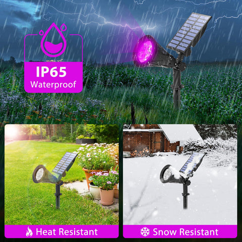 T-SUN purple solar spotlight 2-pack packaging with included hardware