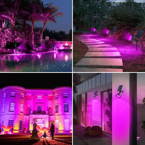 T-SUN purple solar spotlight 2-pack weatherproof IP65 design withstands rain
