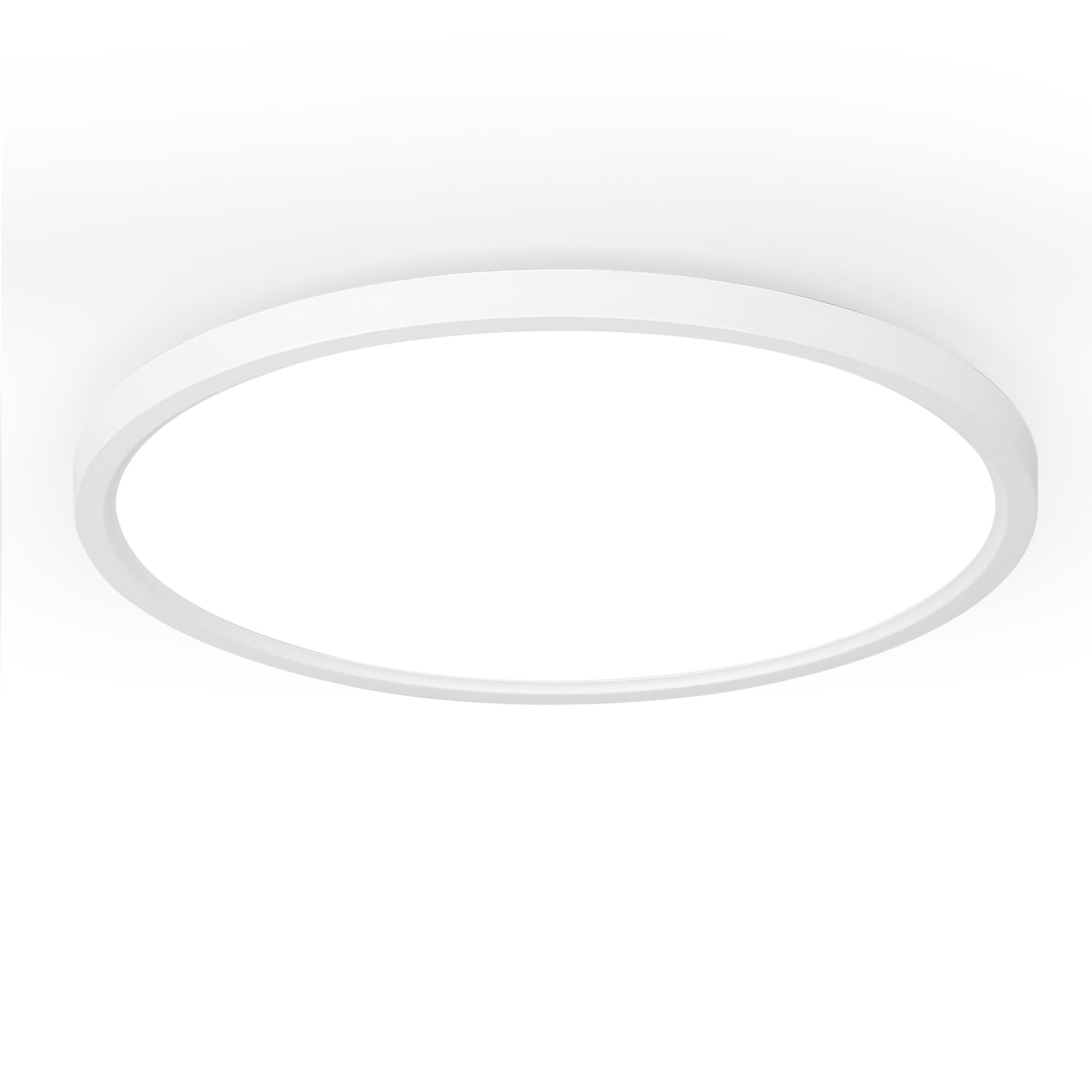 TALOYA 2-pack white 10-inch ceiling light, color temperature options from warm to cool.