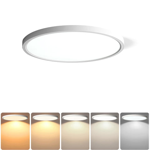 TALOYA 2-pack white 10-inch ceiling light, energy-saving 20W with bright output.