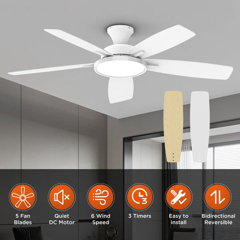 TALOYA 52-inch ceiling fan reversible blades for efficient seasonal airflow.