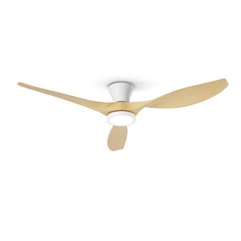 Taloya 52-inch ceiling fan with light remote in-room view for cooling and ambient lighting