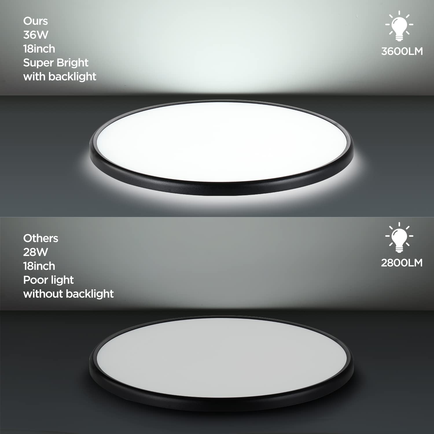 Taloya 5 CCT color-temperature control for versatile ambience.