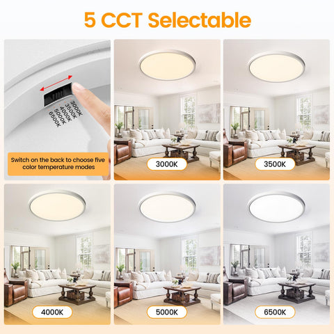 TALOYA back-switch enables five color temperatures for customizable ambience