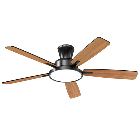 TALOYA memory function recalls preferred light settings.