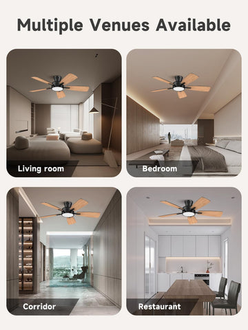 Taloya memory function saves preferred light settings for convenience.