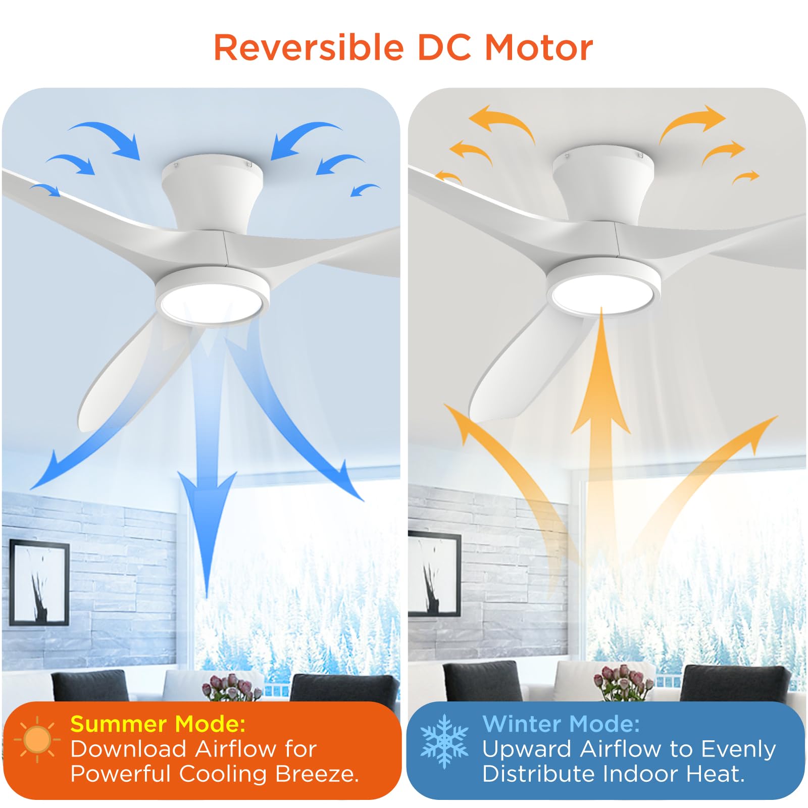 Quiet DC motor in operation on the TALOYA ceiling fan for near silent cooling