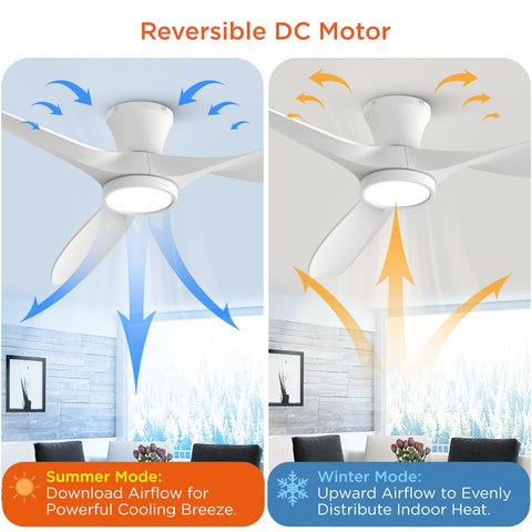 Quiet DC motor in operation on the TALOYA ceiling fan for near silent cooling