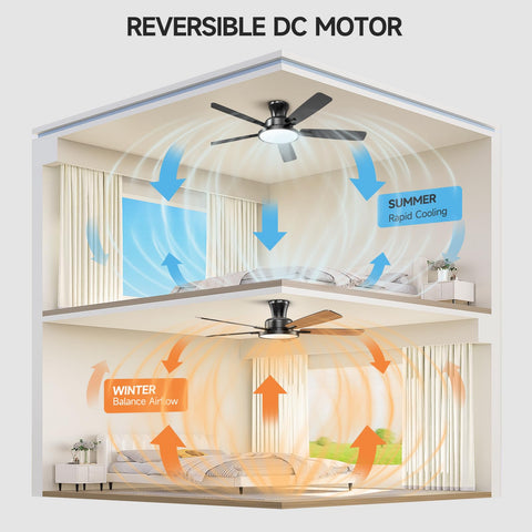 TALOYA quiet DC motor delivers whisper-quiet operation for bedrooms.