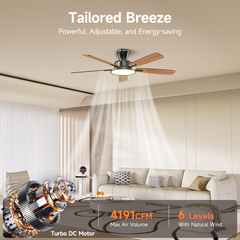 TALOYA remote control handles fan speeds, light, and timer.