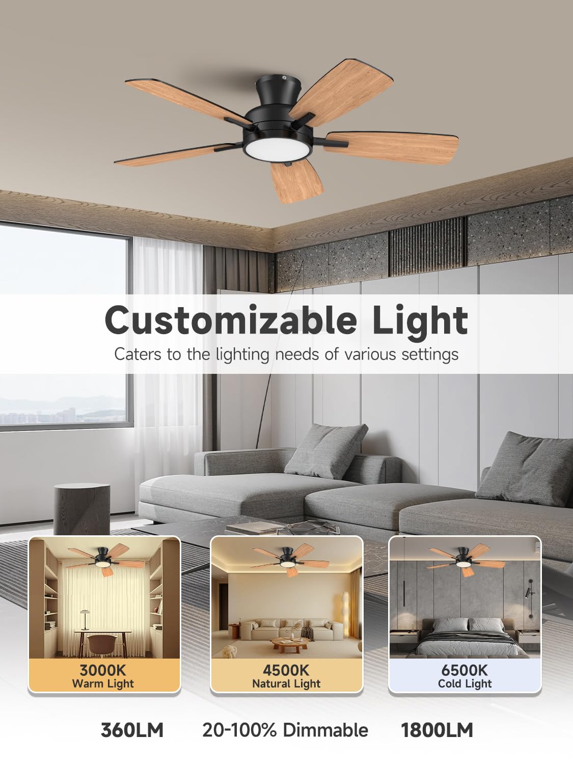 Taloya remote control offers precise speed and light management.