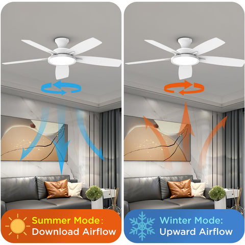 TALOYA remote-control operation lets you adjust speed and lighting remotely.