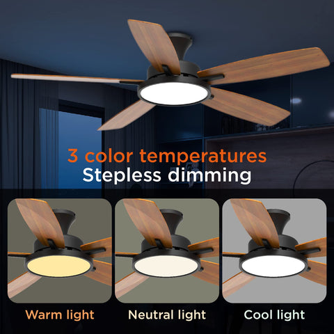 TALOYA reversible DC motor highlights energy efficiency and seasonal comfort