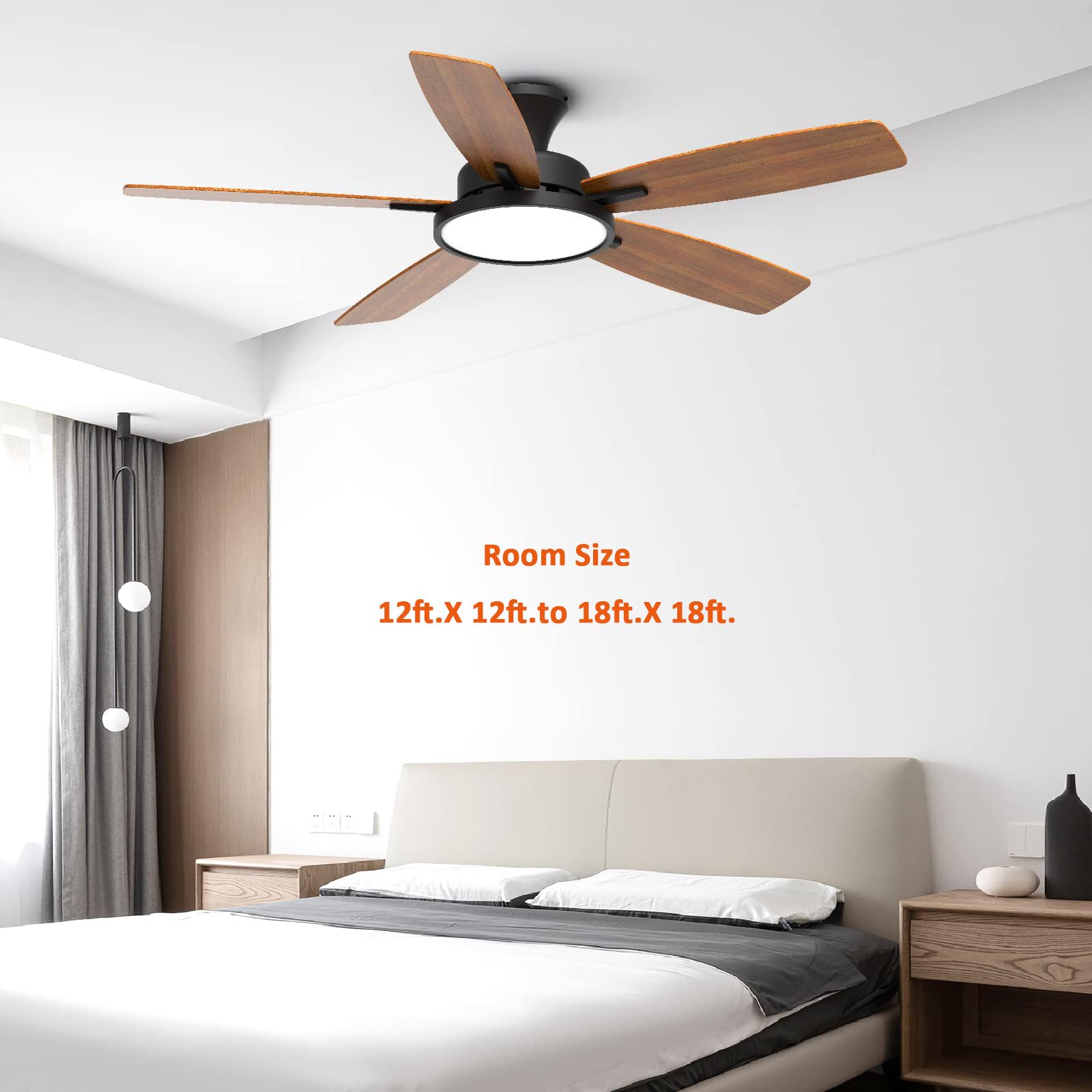 TALOYA warranty and 24/7 support for peace of mind