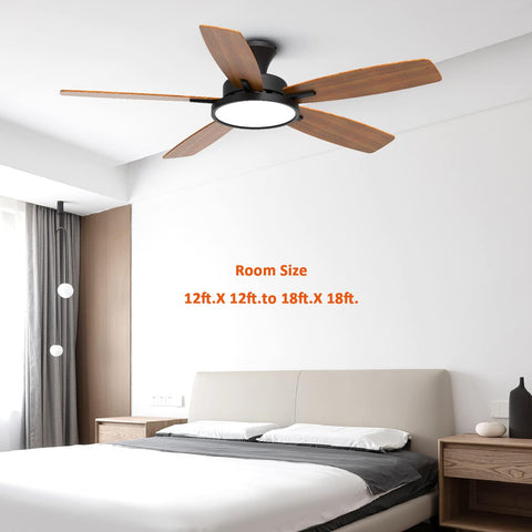 TALOYA warranty and 24/7 support for peace of mind