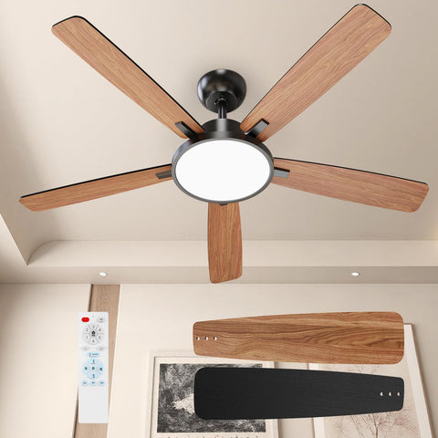 TALOYA waterproof fan body protects against rain and dust.