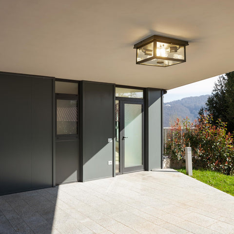 Tarentlight outdoor porch ceiling light showcases textured black finish and clear glass panels.