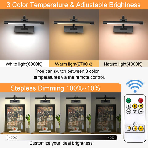 Tassuowell 12 inch dimmable picture light brightens canvases