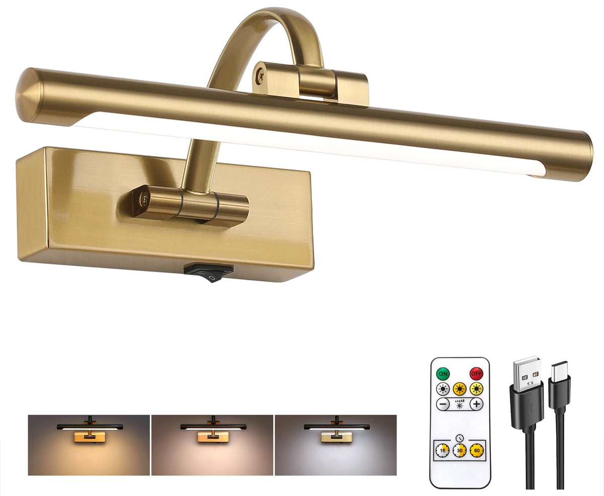 Tassuowell rechargeable picture light in brass finish highlights artwork with energy-efficient lighting.