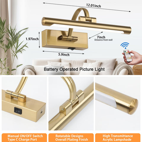 Tassuowell remote-controlled picture light for wall art with easy on/off and brightness control.