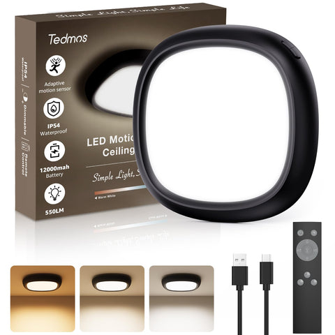 Tedmos motion sensor ceiling light with remote for hands-free hallway lighting