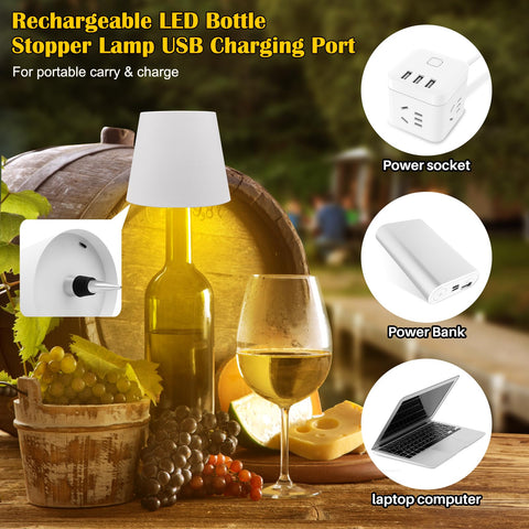 TGXCF LED table lamp with USB-C recharge for easy power on the go