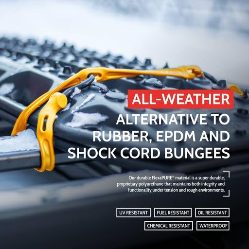 The Perfect Bungee used on a roof rack demonstrates versatile cargo securing.