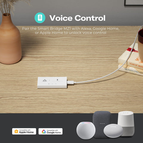 Compact MZ1 with USB-C power for flexible placement.