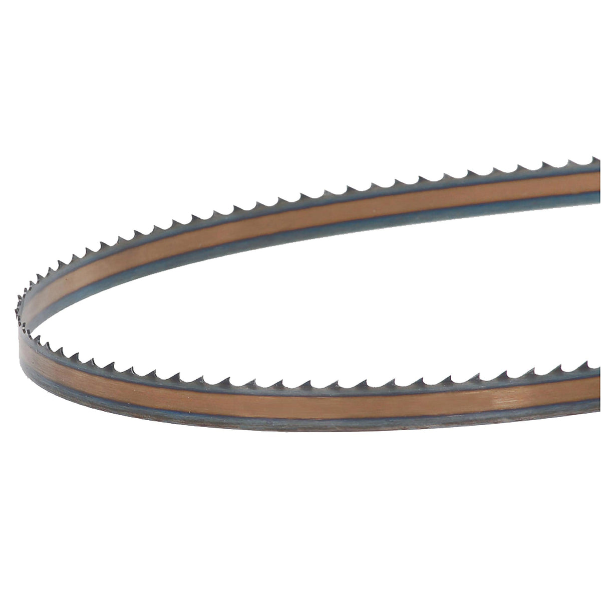Timber Wolf bandsaw blade side view showing thin kerf for efficient resawing