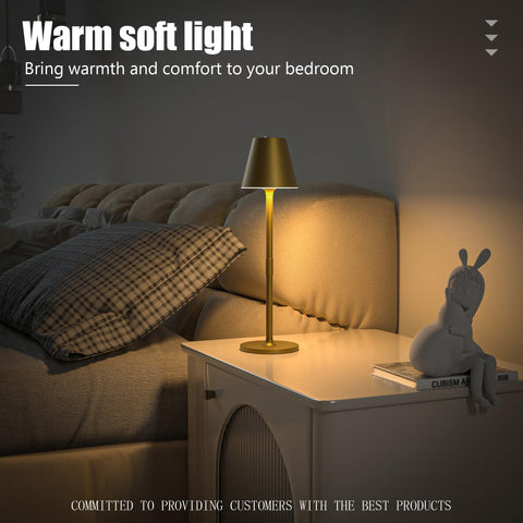 Timjorman bronze metal desk lamp adds elegant decor to any space