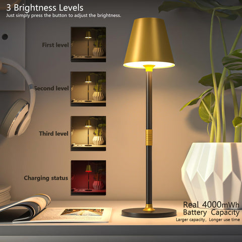 Timjorman lamp showing three-level dimming for adjustable ambiance.