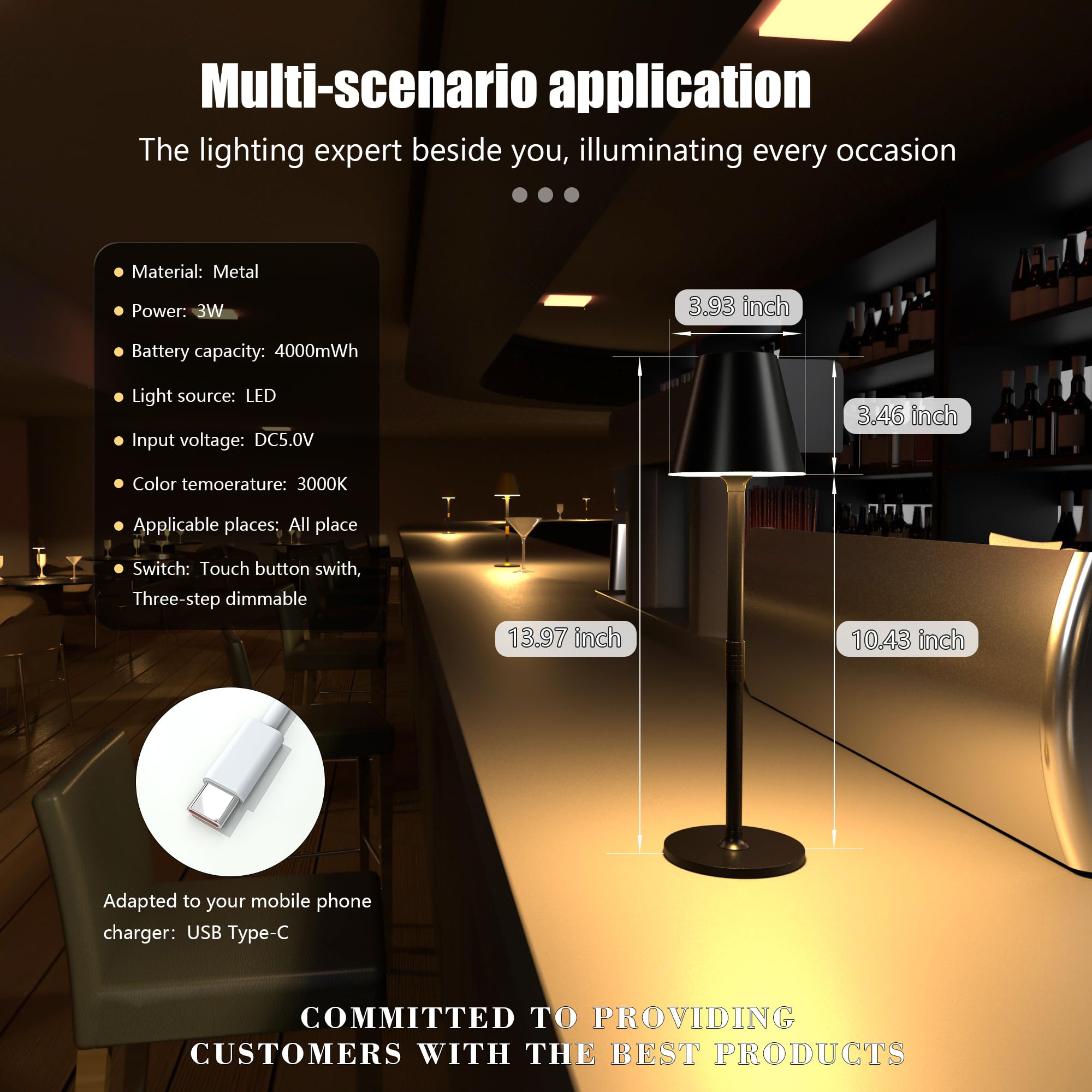 Timjorman cordless lamp features a black shell for contemporary decor