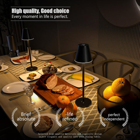 Timjorman cordless lamp moves easily, proving true portability