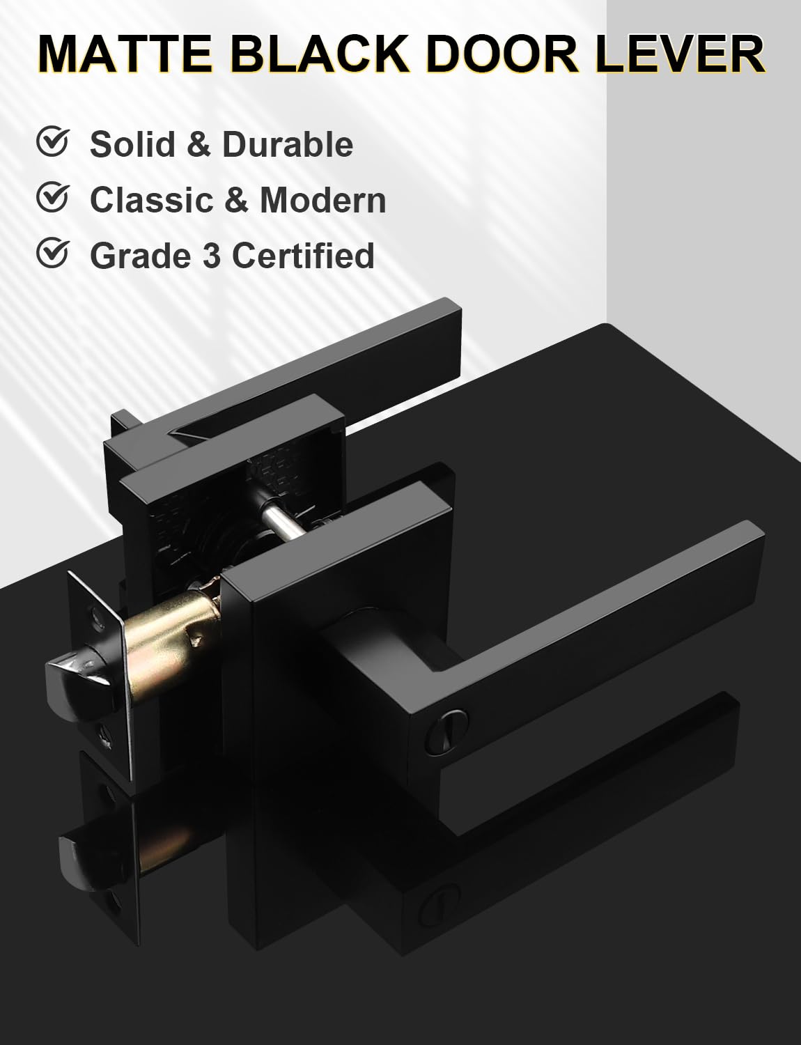 Tinewa privacy lever with outside emergency-release tool for quick access.