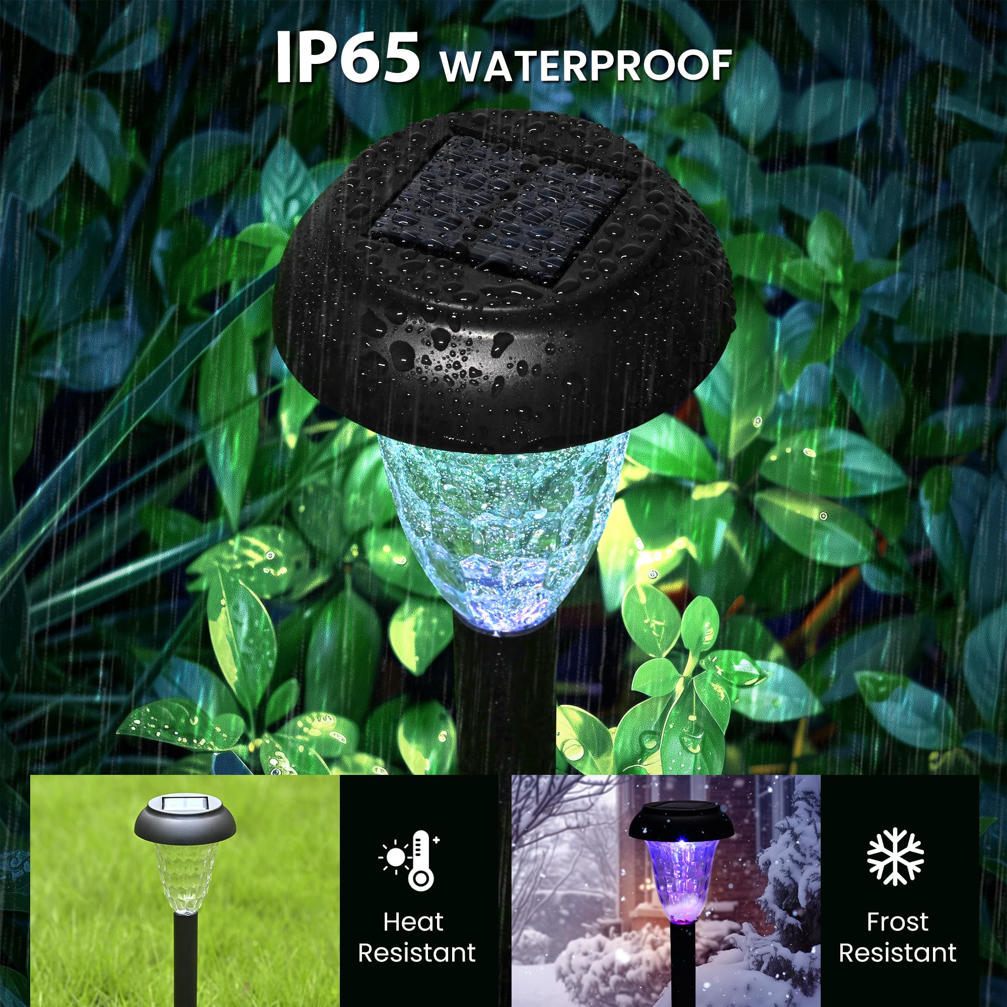 TISEJOY garden pathway light brightens walkways and driveways with steady illumination