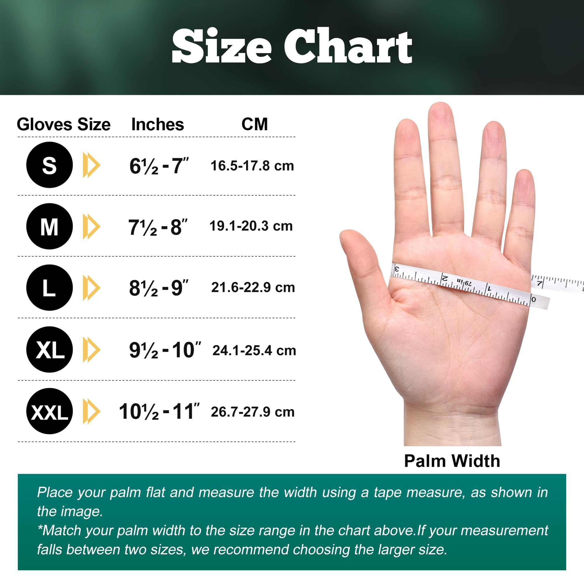 TitanFlex 100count XL disposable gloves provide steady supply for long jobs.