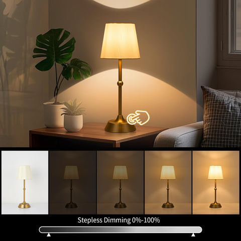 TIZURD 3000K warm light creates cozy dining or reading ambiance